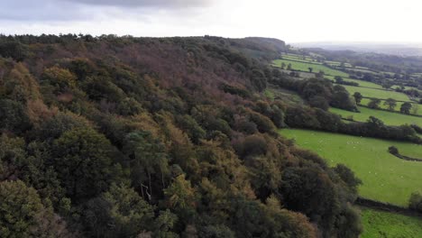 aerial forward shot of the trees at east hill strip in devon england