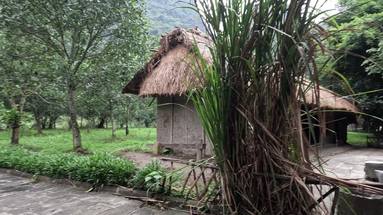 un tranquilo paseo hacia una cabaña de paja.