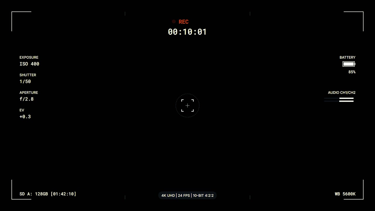 Digital Camera Viewfinder Overlay with Recording Interface