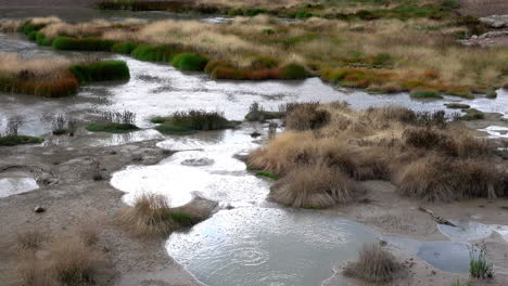 charcos de agua termal burbujeante intercalados entre áreas de hierba de la pradera