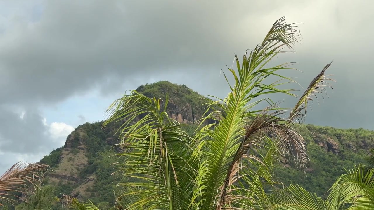 Palme che ondeggiano al vento con montagne verdi e cielo nuvoloso