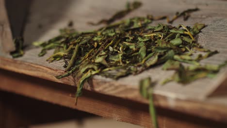 le foglie di tè verde cinese cadono dal vassoio della tradizionale macchina per arrotolare le foglie