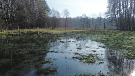 overflow-meadow-flooded-wetland-aerial-slide-left-sunny-day-sunrays