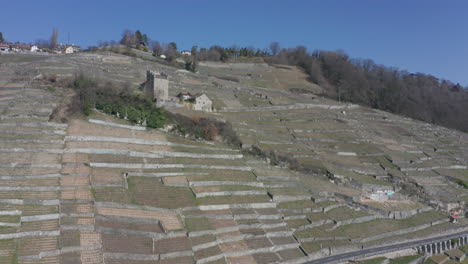 Luftaufnahme-Von-Alten-Gebäuden,-Umgeben-Von-Großen-Weinbergen-In-Der-Ländlichen-Schweiz