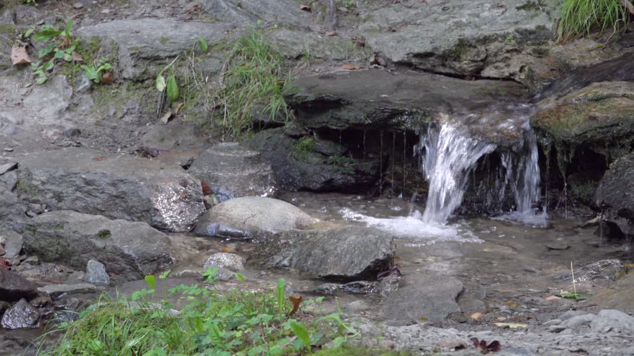 물은 바위 바닥을 따라 흐르고 길을 가로지르고