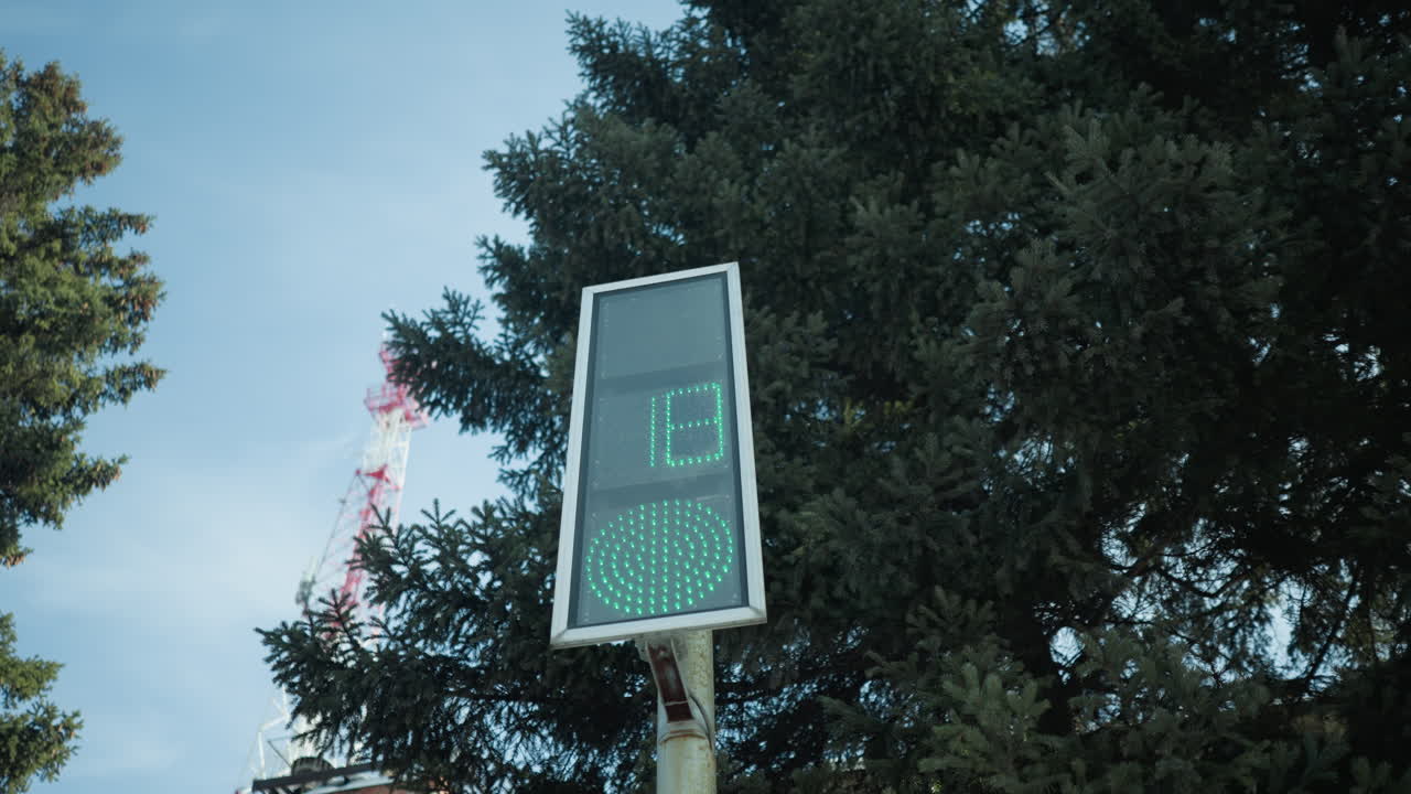 low angle sign on metal pole shows red light then green against winter spruce, led digits glow under blue sky, quiet transit stop mood, frost air, subtle camera rise reveals urban backdrop