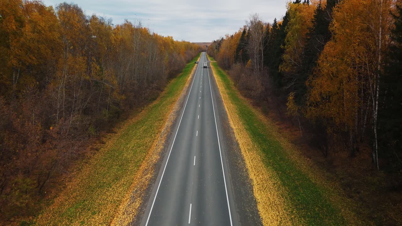 La strada d'autunno attraverso la foresta