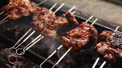 grilled pork skewers on a charcoal grill