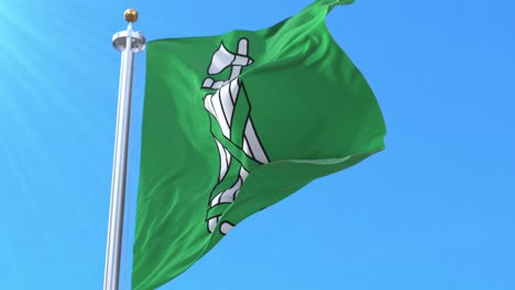 bandera del cantón de san galo, suiza. bucle