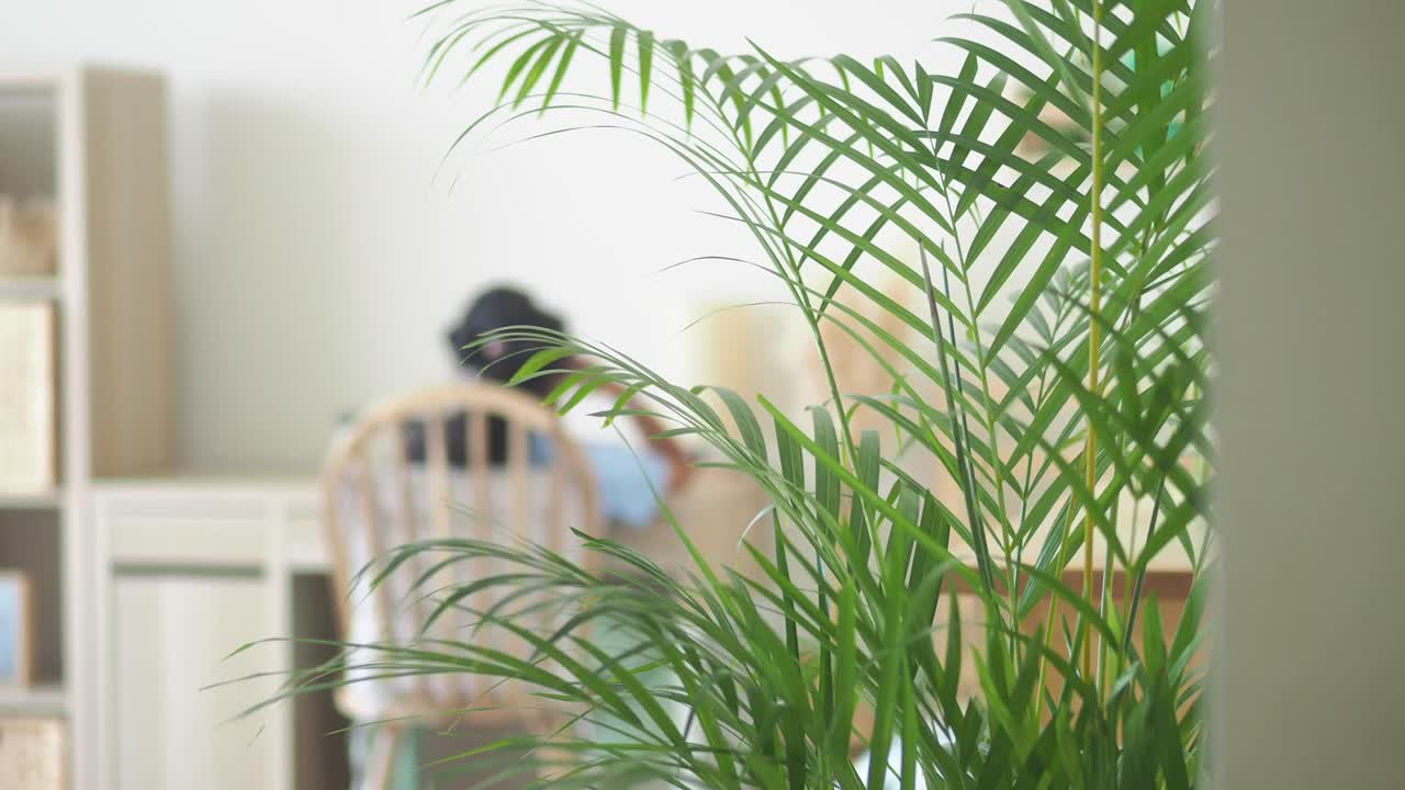 Indoor scene with plant and person at desk