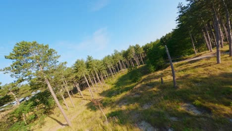 Reservas-Naturales-En-La-Provincia-De-Zelanda,-Los-Países-Bajos