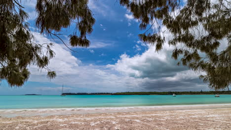 bahía de kuto, isla de pinos, enmarcada por ramas de árboles