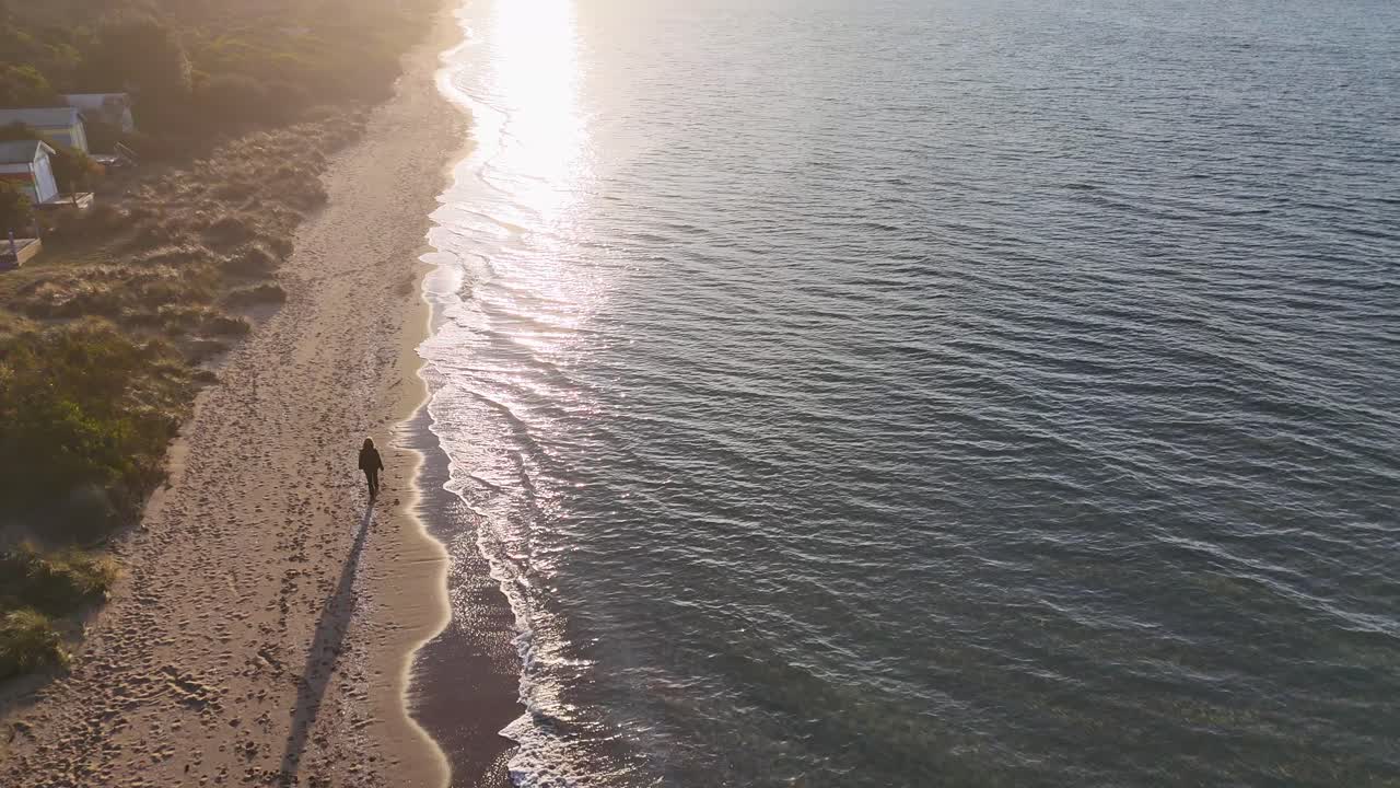 A woman and her dog stroll along a sunlit beach near colorful bathing boxes