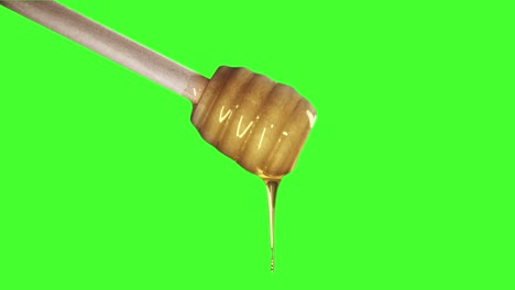 honey dripping from honey dipper on green screen