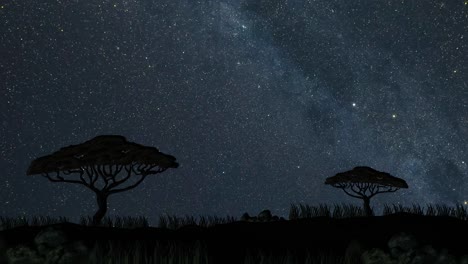 time-lapse of stars moving over an african savannah.