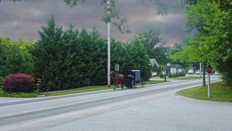 an amish horse and buggy traveling on a country road as a storm approaches on a summer day