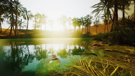 Colorful-scene-with-a-palm-tree-over-a-small-pond-in-a-desert-oasis