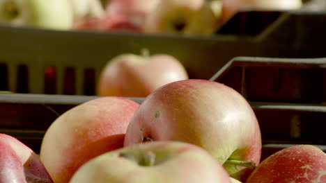 rack focus of apples in crates at a market stall