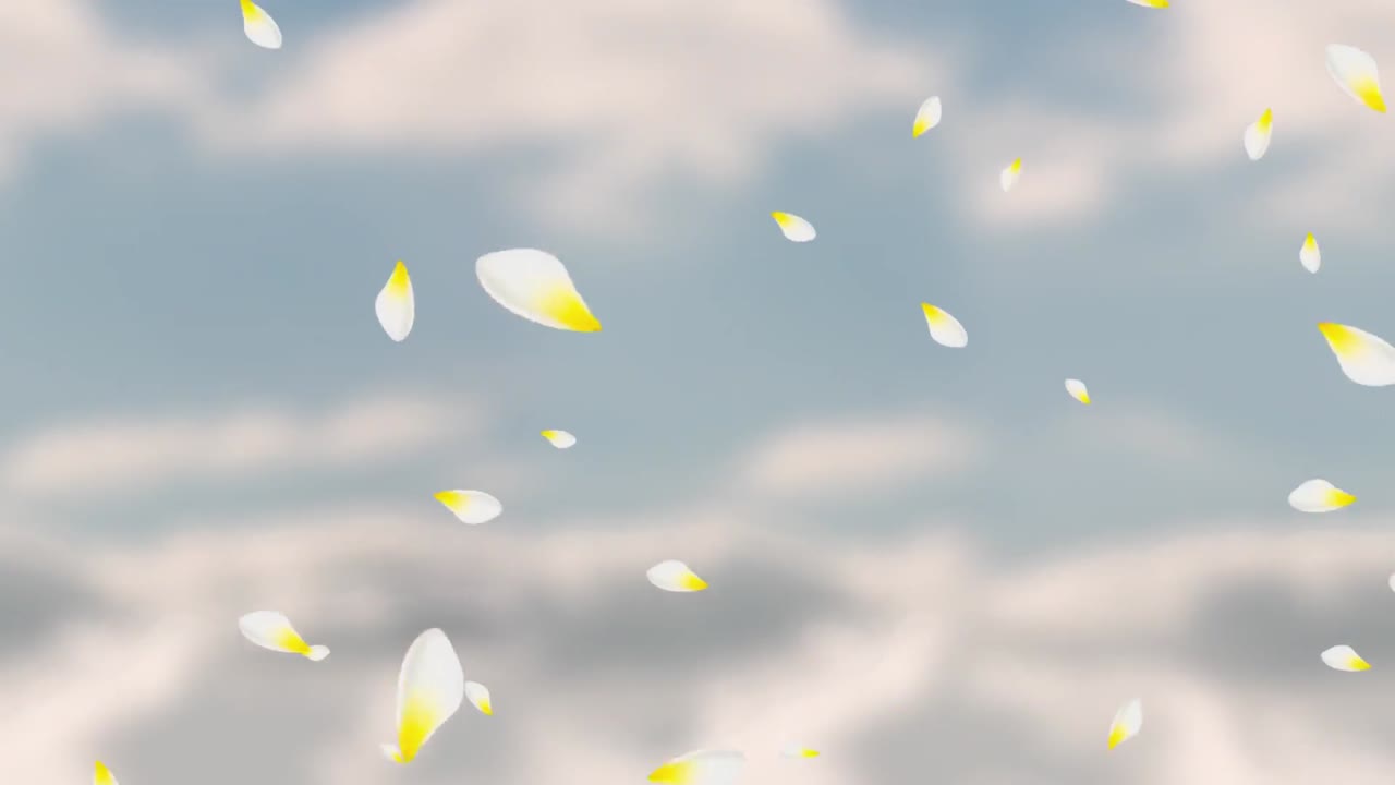 발렌타인 데이 축제