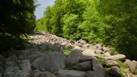 felsenmeer in odenwald sea of rocks wood nature landscape tourism on a sunny day steady shot