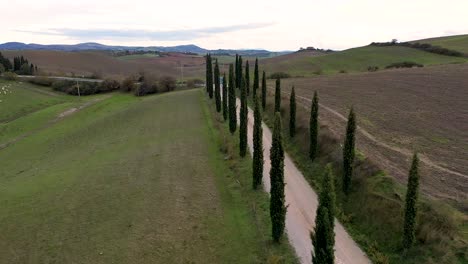 Vista-Aérea-Del-Asombroso-Paisaje-De-La-Toscana-En-Italia,-Cipreses-A-Lo-Largo-Del-Camino-Blanco