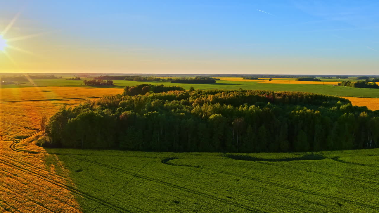 Forest island surrounded by golden and green farmland at sunset, calm and peaceful mood