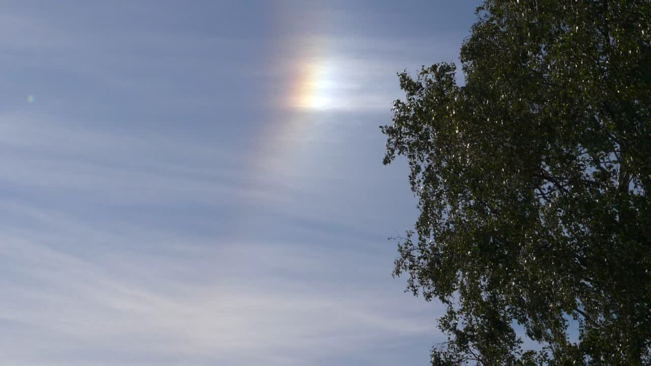 푸른 하늘에 있는 후광 무지개 앞에서 날아다니는 새, 희귀한 기상 현상, 슬로우 모션 기울기