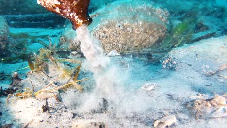 Emptying-out-a-discarded-beer-bottle-found-while-cleaning-up-ocean-trash