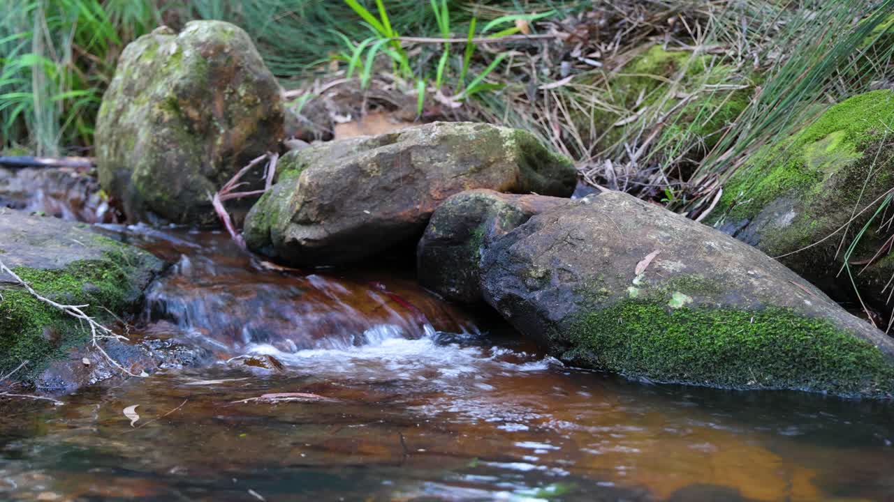 movimiento suave de agua sobre un lecho de arroyo rocoso