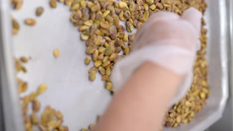 tray full of pistachios ready to be baked in a food factory