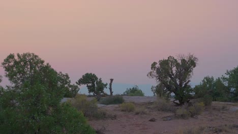 Trees-and-Shrubs-stand-scatters-around-in-Moab-desert,-Utah-during-fantastic-sunset,-dolly-shot