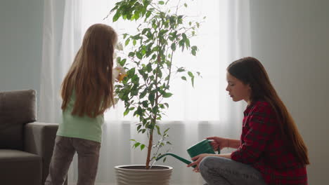 Sibling-sisters-take-care-of-ficus-tree-together-in-room