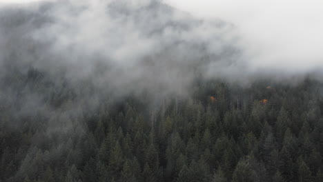 an aerial push in through dramatic washington fog rolling through the mountains and evergreen forest