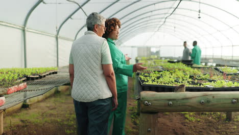 greenhouse, handshake of people