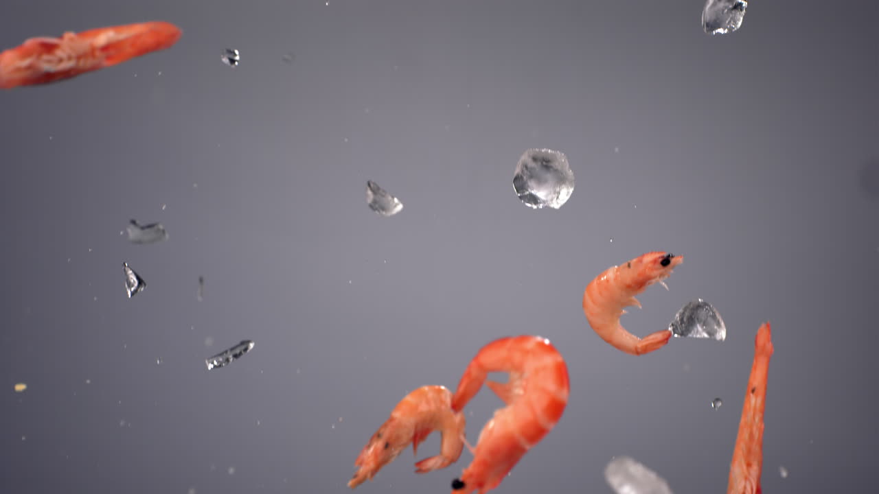슈퍼 슬로 모션 신선한 스피 새우가 밝은 배경에 얼음 큐브와 함께 날고 있습니다. 고속 카메라로 촬영, 420fps
