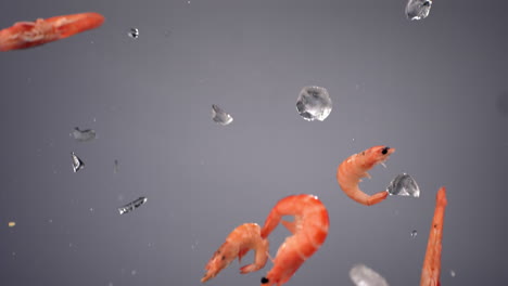 super slow motion fresh scampi shrimps flying along with ice cubes on bright background. shot with high speed camera, 420 fps