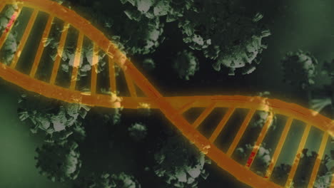 dna and coronavirus cells animation over gradient green background.