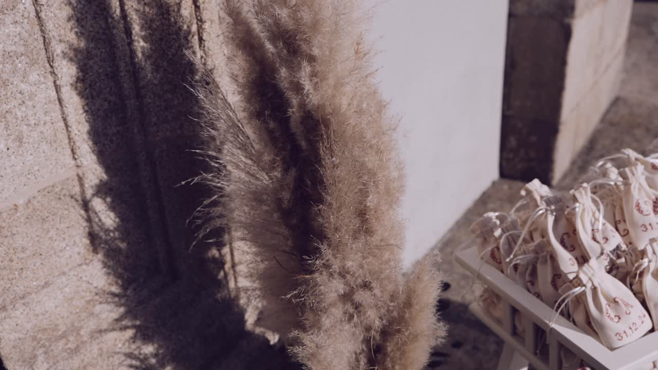 Dried pampas grass with white gift bags in sunlight casting soft shadows