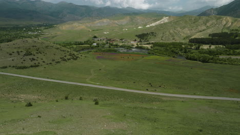 Animales-De-Granja-Pastando-En-Un-Extenso-Pasto-Y-Paisaje-Cerca-De-Los-Confines-Del-Municipio-De-Aspindza-En-Georgia