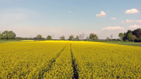 feringasee in münchen mit einer drohne in 4k 30fps