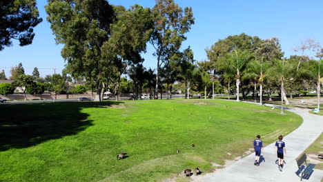 fly by cross country runners who are walking at mason park in irvine, ca