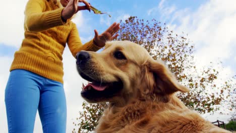 woman playing with her dog in ranch 4k