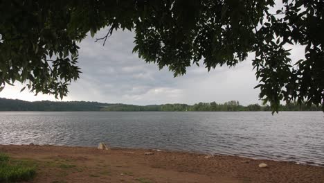 Las-Hojas-De-Los-árboles-Se-Sacuden-Con-El-Viento-En-El-Primer-Plano-De-Un-Pintoresco-Lago-Urbano-Del-Medio-Oeste