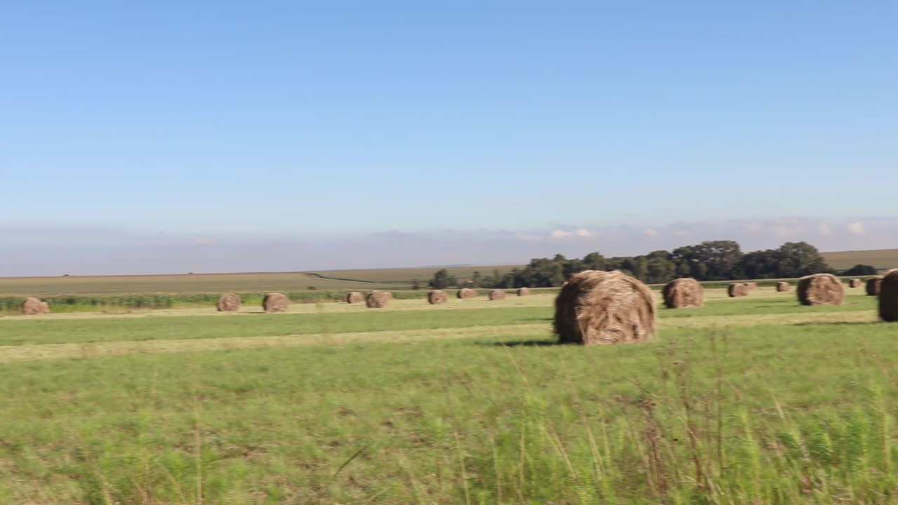 a Green Farm field with rolled hay bales.