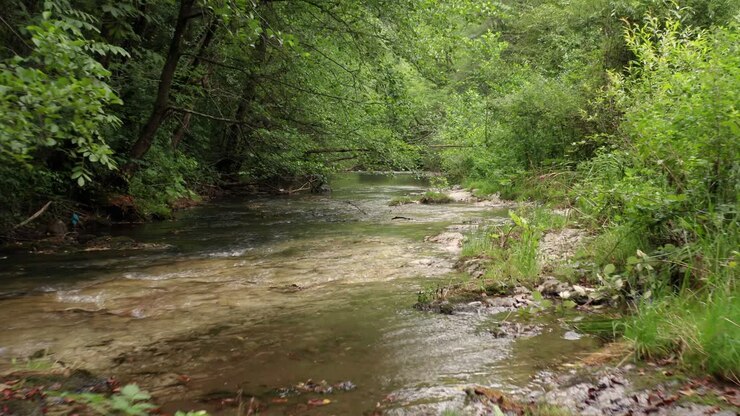 Sırp dağ yamacından aşağı akan küçük dere, uzak kırsal bölge, havadan görünüm.
