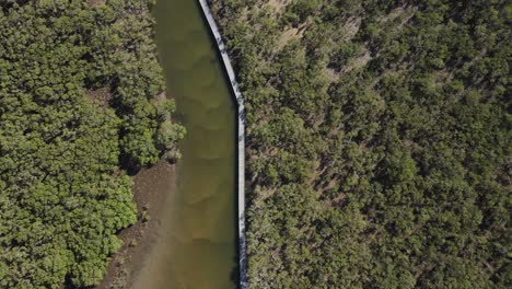 Paseo-Marítimo-De-Madera-Ecológico-Y-Apto-Para-Sillas-De-Ruedas-A-Lo-Largo-Del-Río-Bellinger-Y-Los-Humedales-De-Manglares.