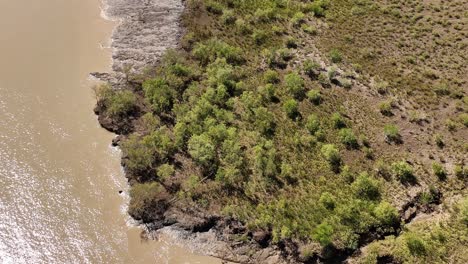 hermoso bosque de manglares y arroyo en el noroeste de australia-3