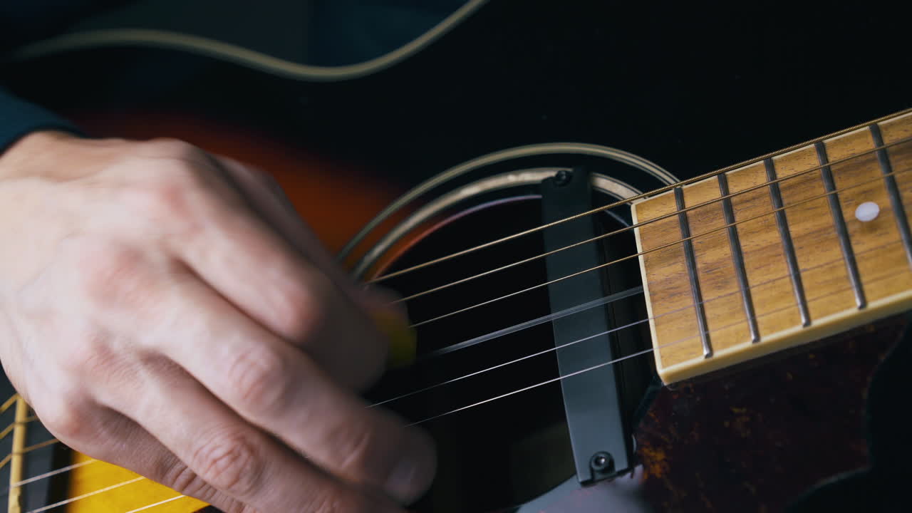 músico profesional toca cuerdas de metal y nailon.