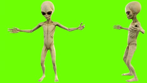 alien talks. loopable animation on green screen. 4k.