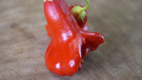 Mad-Hatter-Pepper,-Capsicum-Baccatum